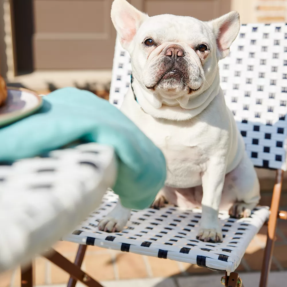 Sonoma Goods For Life® French Bistro Folding Chair 5 Sonoma Goods For Life® French Bistro Folding Chair - Image 5