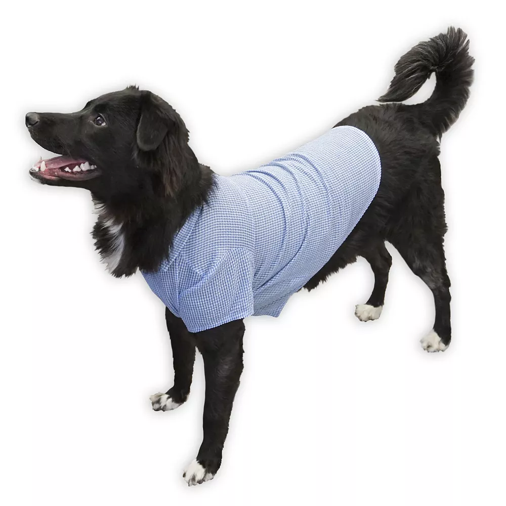 Woof Blue Woven Shirt for Dogs 1 Woof Blue Woven Shirt for Dogs
