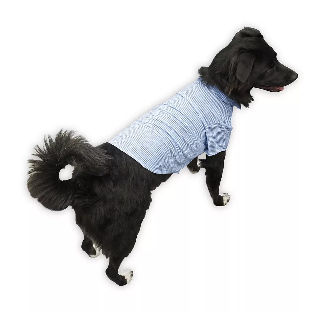 Woof Blue Woven Shirt for Dogs 2 Woof Blue Woven Shirt for Dogs - Image 2