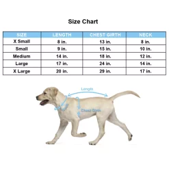 Disney's Mickey Mouse & Friends Pluto Dog Costume -Cheap Home Decor Store 5654079 ALT5