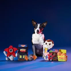 BARK Eleven Off-Leash Dog Toy 7 BARK Eleven Off-Leash Dog Toy -Cheap Home Decor Store 5672280 ALT3