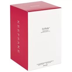 Star Wars: The Mandalorian A Jedi Returns 2022 Hallmark Keepsake Christmas Ornament -Cheap Home Decor Store 5825990 ALT3