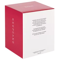 Avatar Neytiri and Seze 2022 Hallmark Keepsake Christmas Ornament -Cheap Home Decor Store 5826127 ALT3